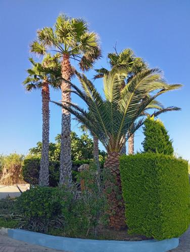 Villa Lagosta - image 40