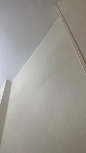 Pyramids palm view - image 2