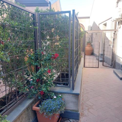Il Cortile in Pedara