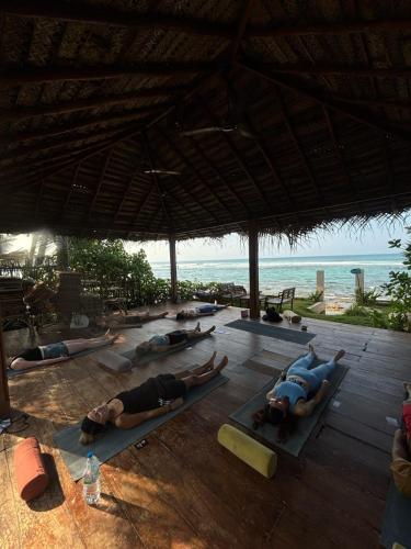 Beach, Tahini and Friends Surf, Yoga & Wellness in Ahangama