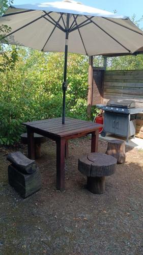 patrice et chrstel Cabane en bois 4