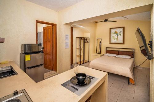Private Terrace Suite with Park View Casa Jurel, Cancún