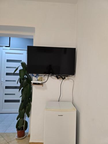 Cozzy Studio Tirana, Tirana (photo 7)