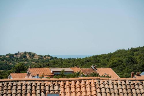 Villa Istrian garden - image 2
