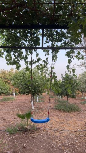 Omar villa, Al Jafr (foto 6)