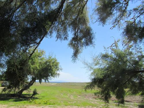 Camping Miami plage - image 9