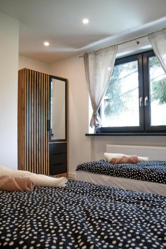 Lipowa Apartamenty