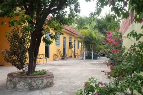 Casa Cuevas & Amaro in Mérida, Mexico