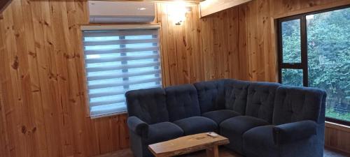 Cabañas caiquen, La Junta (foto 9)