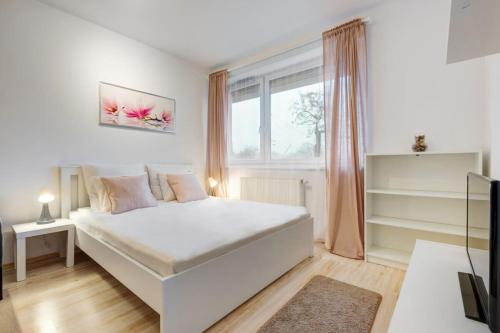 Comfy Studio in Town - main image
