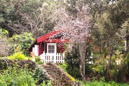 Casa Rural La Gustoza