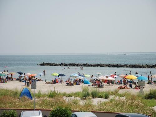 Frontemare - Porto Garibaldi
