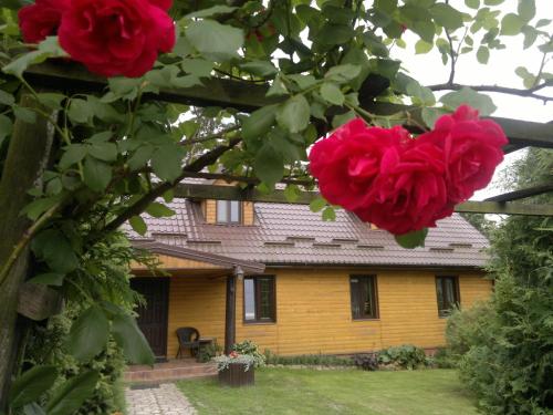 Dom Gościnny Woleninowo Dom Gościnny Woleninowo