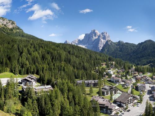 Centro Thule - Genziana - Apartment - Selva di Cadore