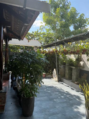 Cheerful Hoi An Hostel