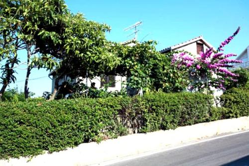  Apartment Damjanovic in Supetar