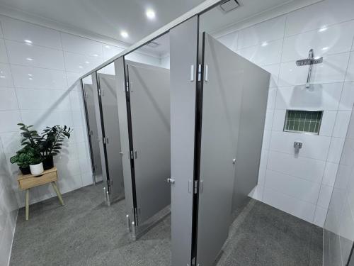 Mad Monkey Central, Cairns (fotografie 7)
