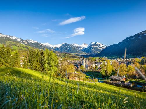 Apartment in Kirchberg near Ski Bus, Kirchberg in Tirol (zdjęcie 6)