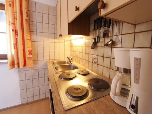 Apartment in Leogang near Ski Lift