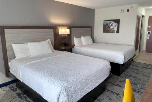 2 double beds