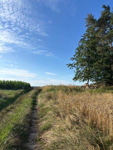 LandArt mit Charme
