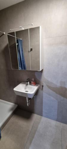 Shower, Room in Darmstadt City in Darmstadt City Center