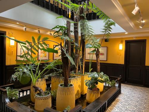 Hoianan Boutique Hotel - 편의 시설/서비스