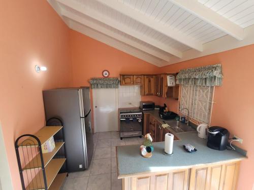 Kjøkken, Tropical Blessings - Ocho Rios near Ian Fleming internasjonale lufthavn