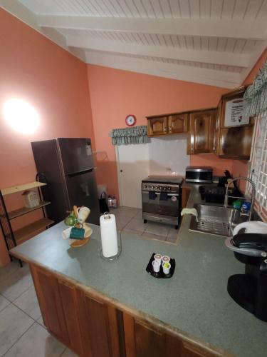 Kjøkken, Tropical Blessings - Ocho Rios near Ian Fleming internasjonale lufthavn