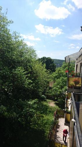  Green, Peace and Love in Budapest in Budapest
