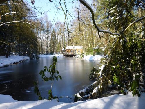 Fishing Chalet, Opglabbeek, Oudsbergen (fotografie 6)