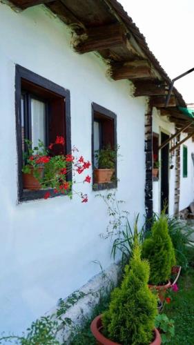 La Sâvulică, punct gastronomic local cu spatii de cazare (La Savulica, punct gastronomic local cu spatii de cazare) in Arpasu de Sus