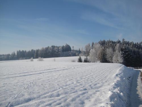 Surrounding environment, Comfortable Apartments in Rotthalmunster in Rotthalmunster