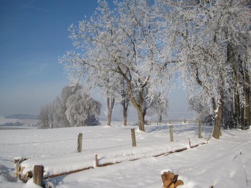 Surrounding environment, Comfortable Apartments in Rotthalmunster in Rotthalmunster