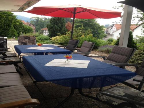 Erkély/terasz, Large detached holiday home in Hesse with private garden and terrace in Homberg (Efze)