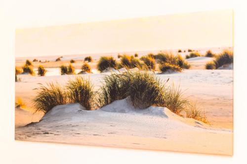 Ferienwohnungen im Haus Südermole in Esens, Deutschland