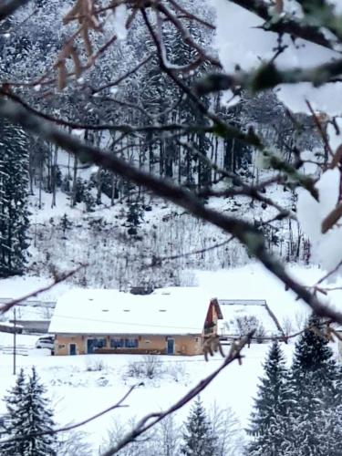 Gite le chapy gîte à louer Septmoncel