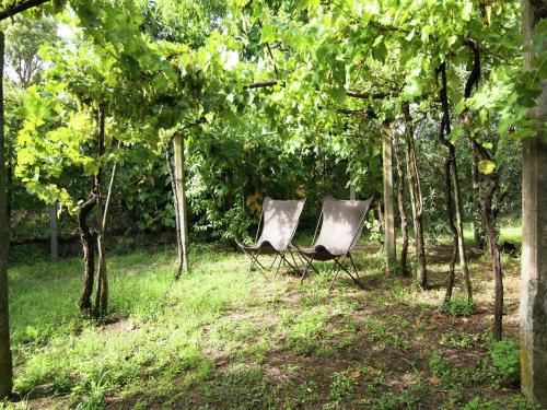 Luxurious, cozy apartment with pool near Cortona in Tuscany versatile, Cortona (fotografie 10)