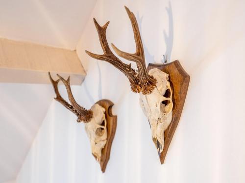 Nice apartment on UNESCO World Heritage Site Wortel-Kolonie