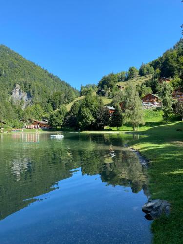 L'Ecrin des Myrtilles - Appartement cosy - Piscine et vue montagne - Alpes - Val d'Arly - Aravis et Beaufortain
