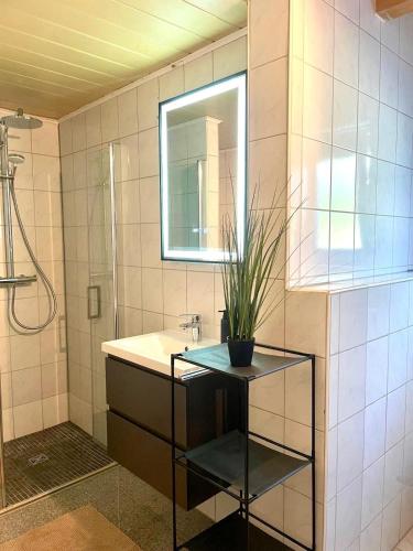 Ferienwohnung Südtor (Ferienwohnung Sudtor) in 弗賴貝格