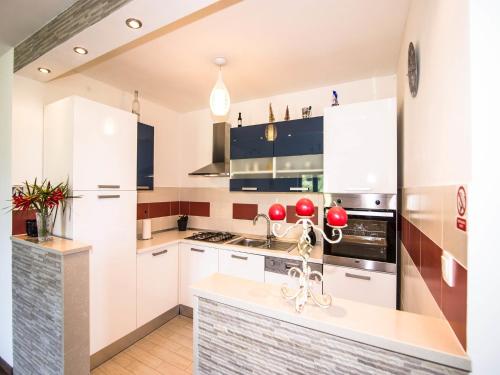 virtuve, Spacious apartment with private terrace in Pridvorje