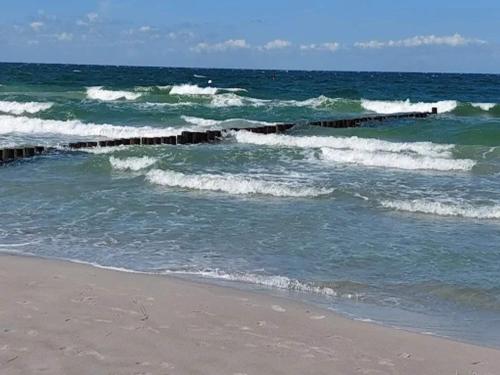 Apartment, Zingst, Zingst (foto 3)