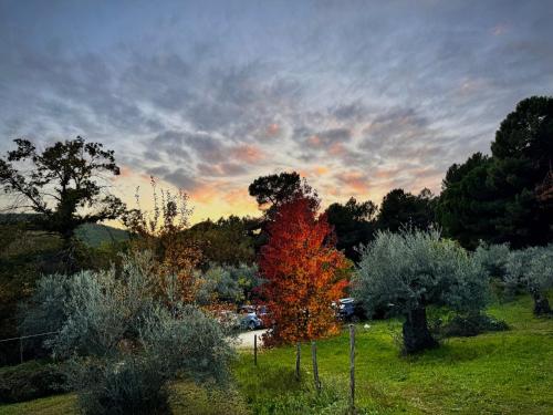 Kilátás, Casa Rural Las Gesillas in Poyales Del Hoyo