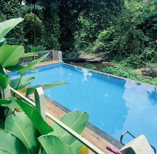 Kilátás, IRON BRIDGE COVE in Meppadi