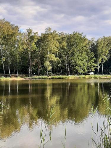 Iekārtas, "Sielski Zakątek" - Całoroczny domek w otoczeniu przyrody, z prywatnym stawem ("Sielski Zakatek" - Caloroczny domek w otoczeniu przyrody, z prywatnym stawem) in Chlebice