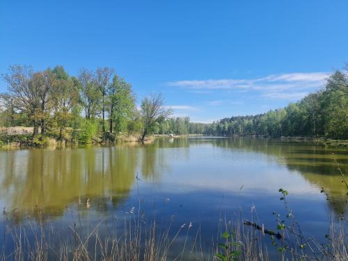 Iekārtas, "Sielski Zakątek" - Całoroczny domek w otoczeniu przyrody, z prywatnym stawem ("Sielski Zakatek" - Caloroczny domek w otoczeniu przyrody, z prywatnym stawem) in Chlebice