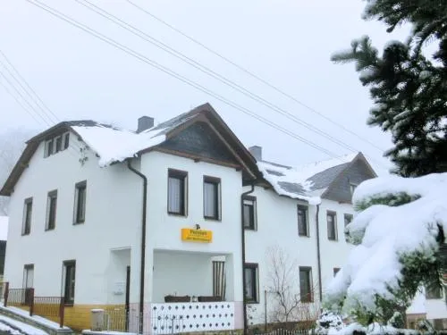 Cozy Apartment Near Ski in Muldenhammer, Deutschland
