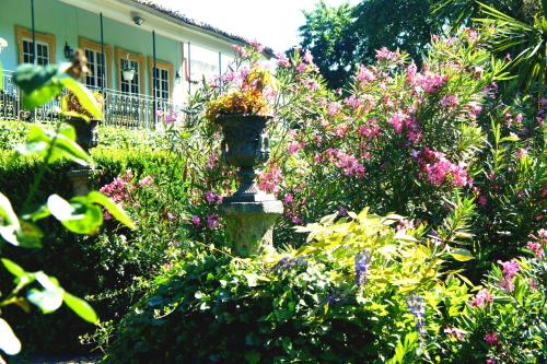 Casa de Sezim - image 7