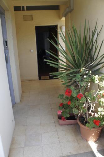 ทางเข้า, Apartamento Monte Estoril in ไบร์โร มาล การ์โมนา